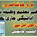 Benazir Taleemi Wazaif Check Online by CNIC