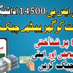 How to Check BISP 14500 Payment Status