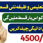 BISP Taleemi Wazifa Amount Check