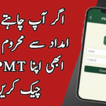 Simple Ways to Check Your PMT Score by CNIC