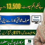 Check Your Benazir Income Support Account