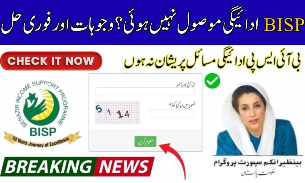 BISP Payment Not Received?