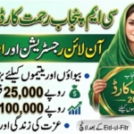 How to Apply for CM Punjab Rehmat Card